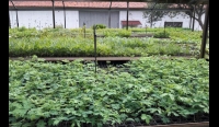 Scania mais sustentável que nunca