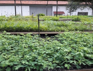 Scania mais sustentável que nunca