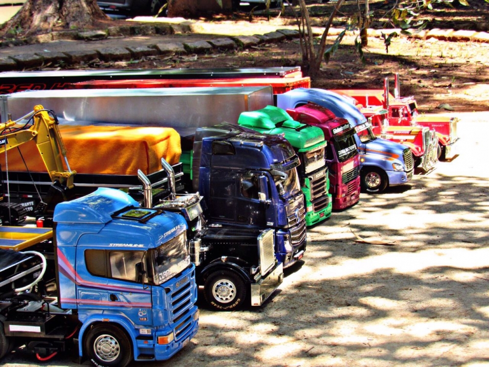 Truckmodelismo: até onde vai a paixão por caminhões?