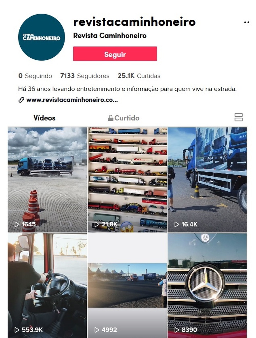 TikTok: saiba quais perfis de caminhoneiro seguir