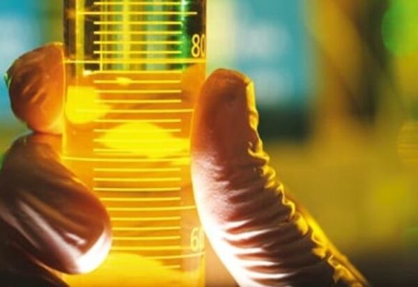 Riscos da mistura de 12% de biodiesel no óleo diesel 