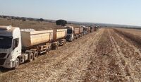 Bom Jesus Transportes amplia frota com 112 caminhões Iveco