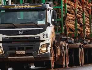 Suzano amplia produtividade com 14 novos hexatrens tracionados por Volvo FMX