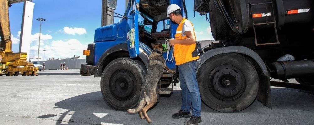 Caminhões são vistoriados por cães farejadores no Porto de Paranaguá