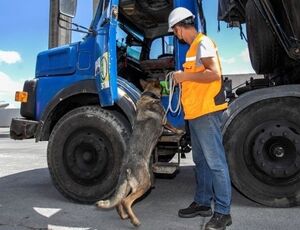 Caminhões são vistoriados por cães farejadores no Porto de Paranaguá