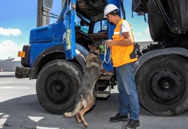 Caminhões são vistoriados por cães farejadores no Porto de Paranaguá