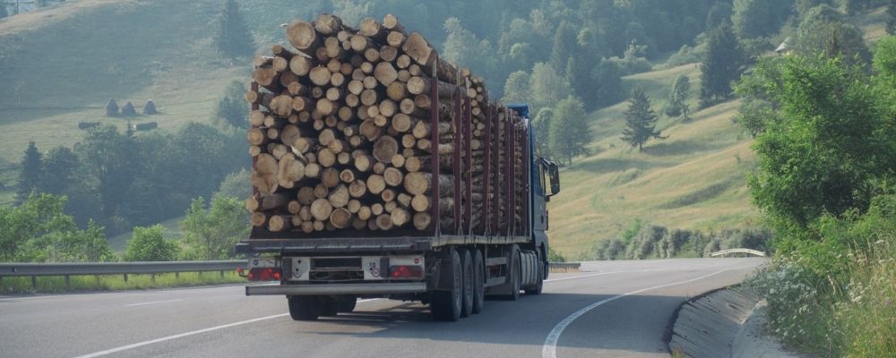 Comissão aprova condição para isentar caminhoneiro que transportar madeira irregular