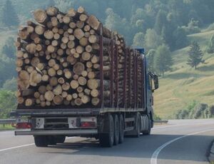 Comissão aprova condição para isentar caminhoneiro que transportar madeira irregular
