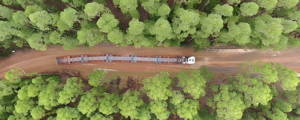 JSL começa operação com pentatrem no transporte de madeira, em MG 