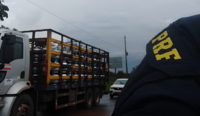 Bandidos visam caminhões carregados de botijões de gás