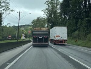 Veja os tipos de carga mais transportados em rodovias brasileiras 