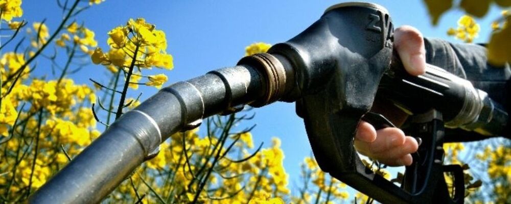 Aumento na mistura de biodiesel pode virar alternativa para evitar a falta de diesel