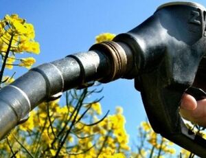 Aumento na mistura de biodiesel pode virar alternativa para evitar a falta de diesel