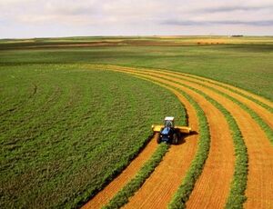 Texaco mostra soluções completas para o agronegócio na Coopercitrus 