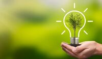 Futuro sustentável: empresas focam na descarbonização 