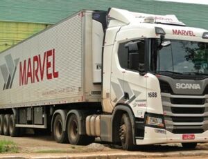 Empresa Marvel transporta 1.500 toneladas de cerejas durante as festas natalinas