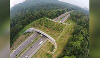Parceria vai fortalecer preservação de fauna e flora nas imediações de rodovias