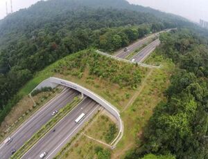 Parceria vai fortalecer preservação de fauna e flora nas imediações de rodovias