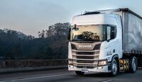 LOTS, do grupo Scania, passa a compensar emissões de CO2 com plantio de mudas na Mata Atlântica