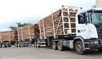 Bracell está com 100 vagas abertas para Motorista de Transporte de Carga CNH E