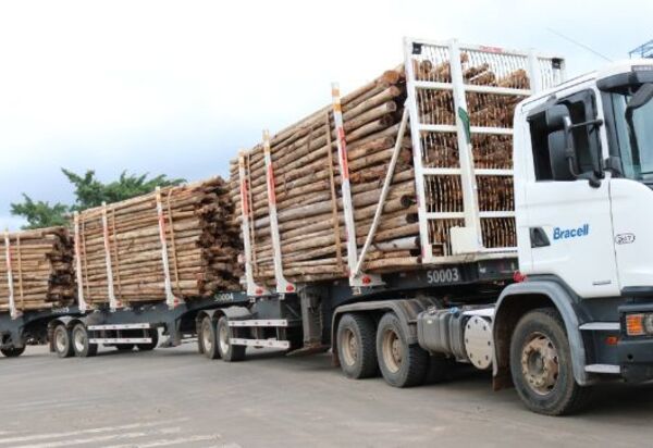 Bracell está com 100 vagas abertas para Motorista de Transporte de Carga CNH E