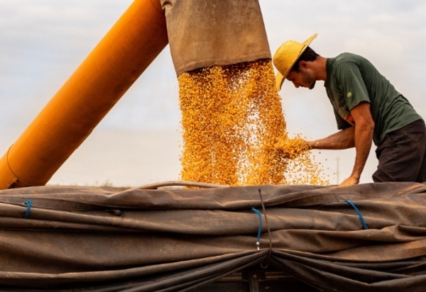Profissão caminhoneiro em 2023: pesquisa aponta digitalização da categoria no setor de grãos; confira mais dados