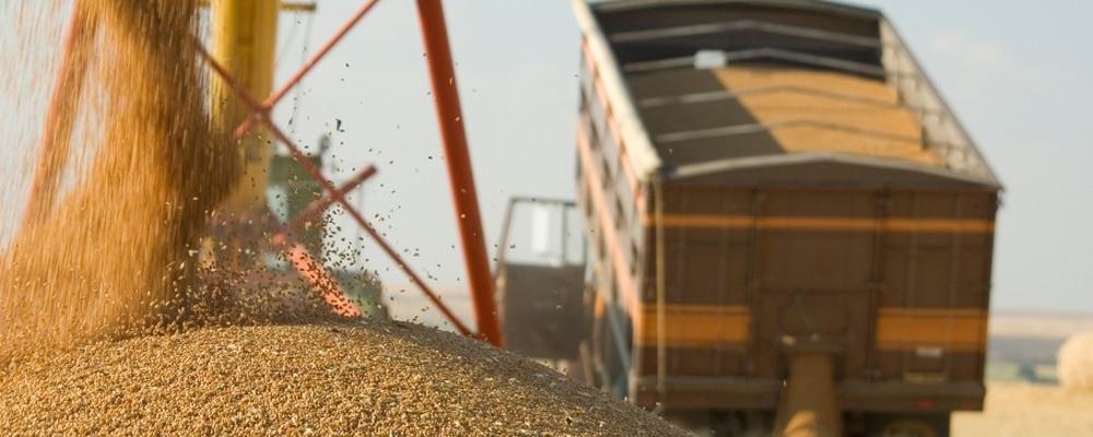 Safra 2024: entenda as dificuldades e a importância dos caminhões para o transporte de grãos