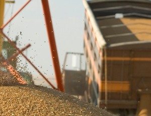 Safra 2024: entenda as dificuldades e a importância dos caminhões para o transporte de grãos