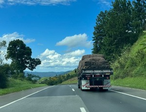 Frete tem queda de 0,54% em março
