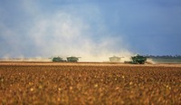 Safra de soja 2025/26 deve alcançar novo recorde no Brasil