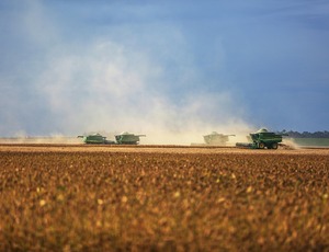 Safra de soja 2025/26 deve alcançar novo recorde no Brasil