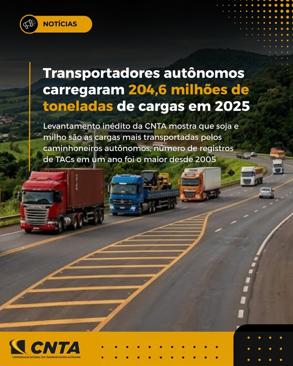 TACs movimentaram 204,6 milhões de toneladas de cargas em 2025, revela CNTA