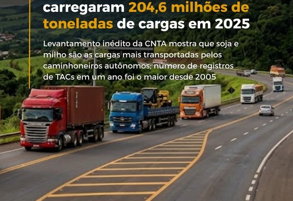 TACs movimentaram 204,6 milhões de toneladas de cargas em 2025, revela CNTA
