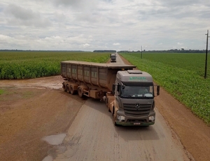 Botuverá adquire 36 unidades do Axor para transporte de grãos de milho
